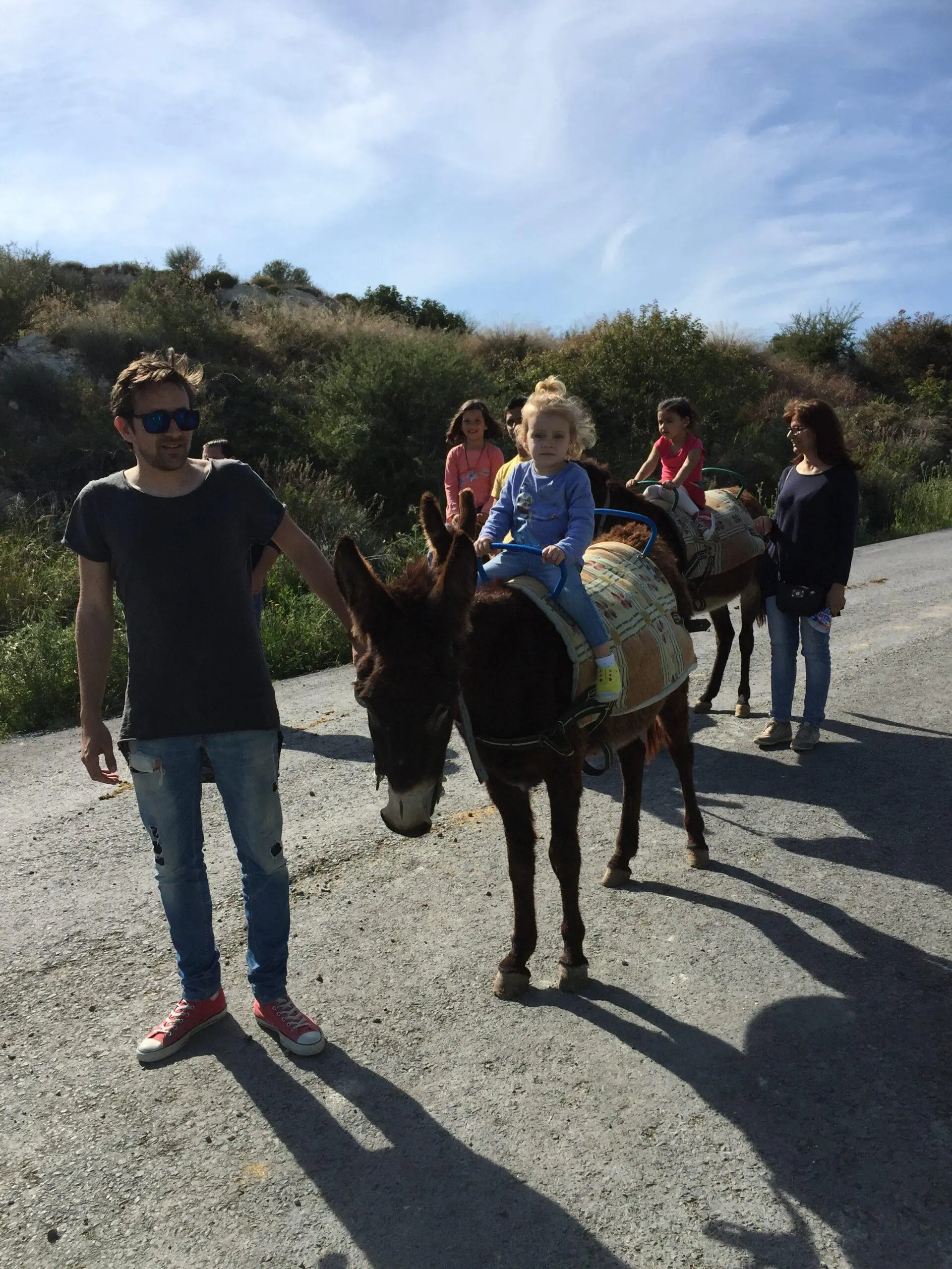 Donkey farm activities in Cyprus