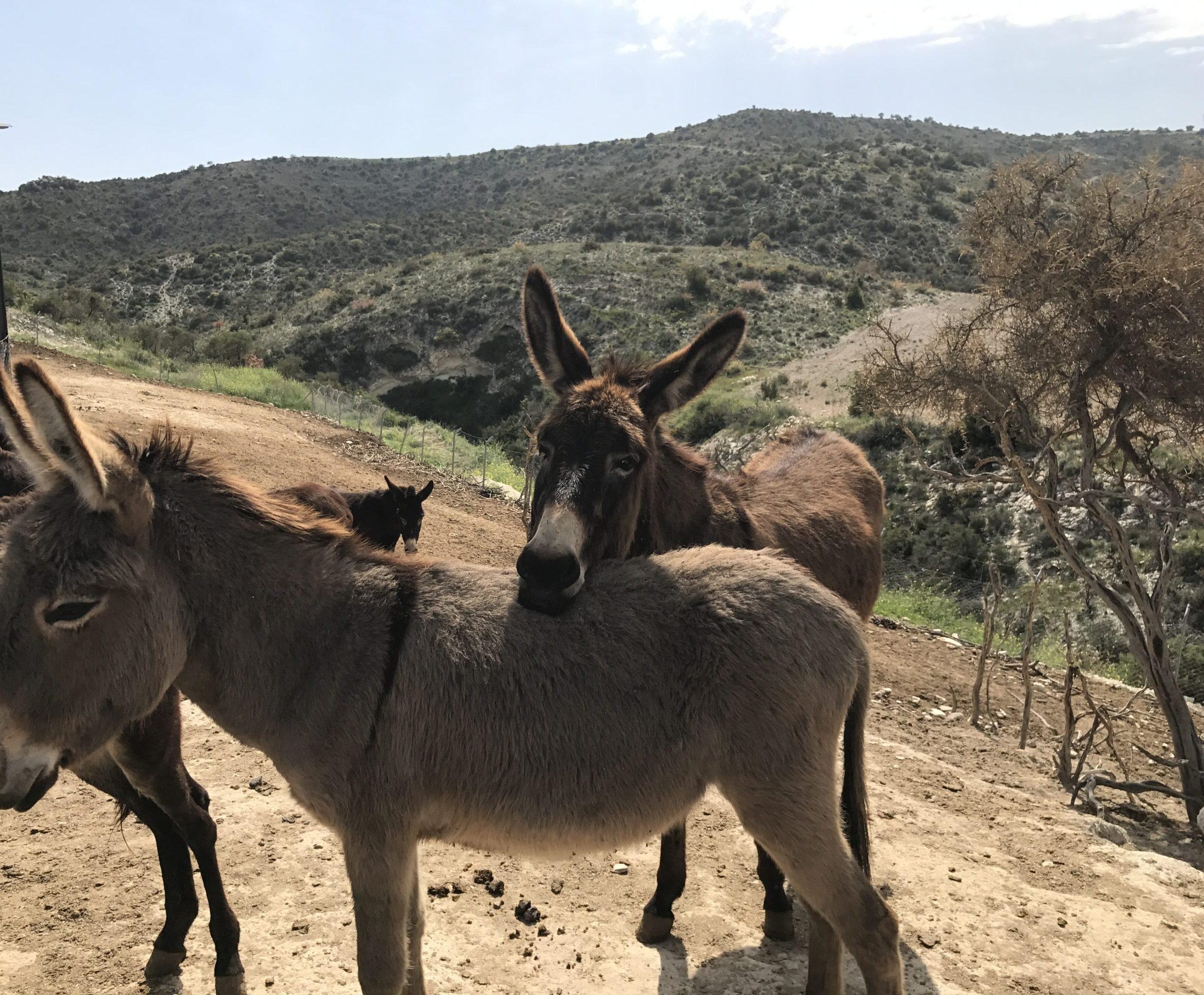 Çocuk Atölyesi & Eğitim Programı